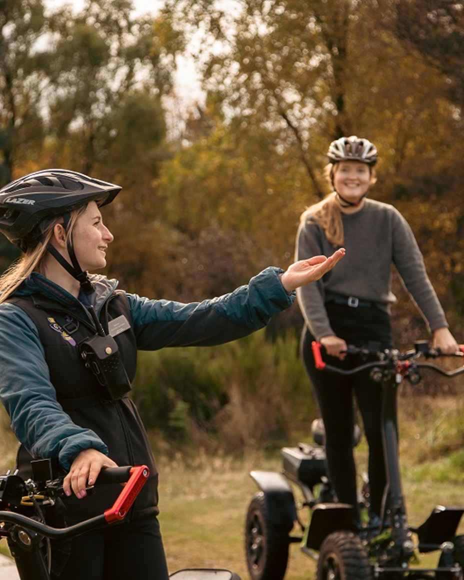 ez raiders ez raiders