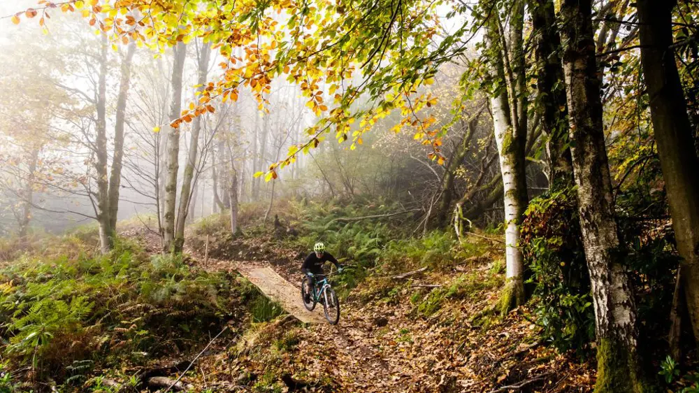 Woodland cycling Woodland cycling