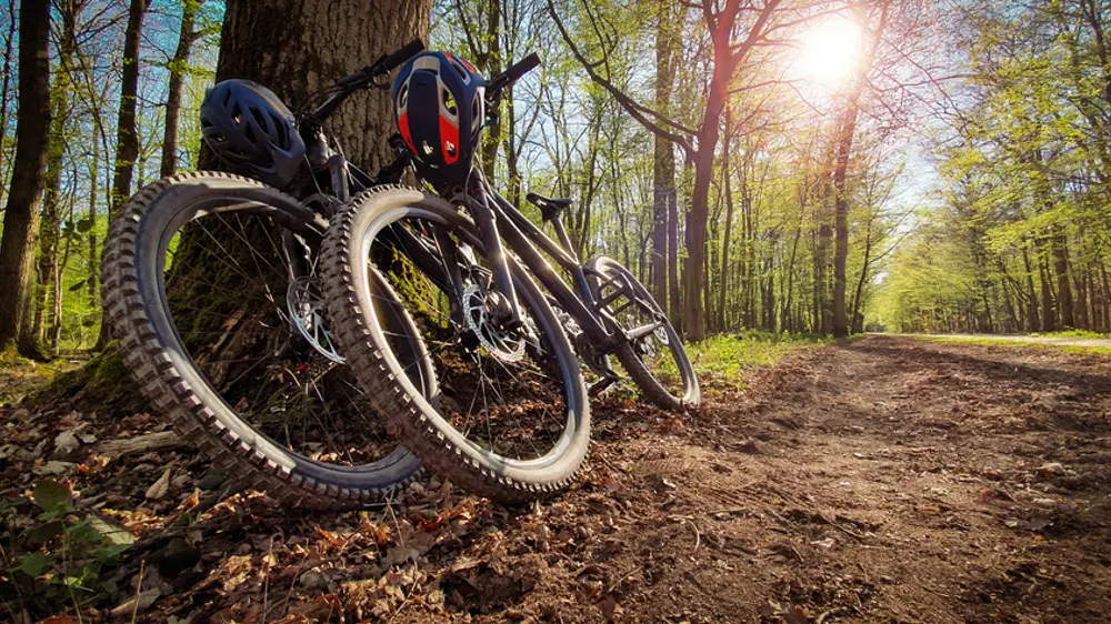 Bike hire available Bike hire available