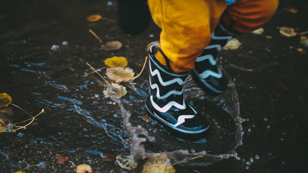 Muddy walks Muddy walks